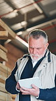 Carpenter, man and scroll in workshop with tablet, manufacturing update and online order for timber. Flare, mature person and reading in factory with tech, carpentry and production from low angle.