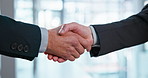 Business, partnership or people in office with handshake, greeting or negotiation in b2b deal. Networking, agreement or employees with shaking hands, introduction or opportunity with collaboration.