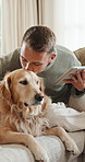 Kiss, tablet and man with dog on sofa for research, web design and project for remote work. Happy, freelancer and person with Golden Retriever, love and tech for internet, website and bonding in home