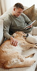 Happy, tablet and man with dog on sofa for research, web design and project for remote work. Relax, freelancer and person with Golden Retriever, love and tech for internet, website or bonding in home
