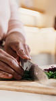 Cooking, cutting and hands of woman in kitchen at house with diet, health or wellness meal. Vegetables, ingredients and person chopping spinach for preparing dinner with nutrition and vitamins.