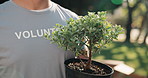 Park, volunteering and person with tree for nature restoration, eco advocate or gardening initiative. Plant, sustainable environment project and nonprofit with ngo charity for climate action outdoor
