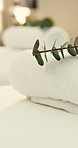 Spa, empty and towel with eucalyptus on bed for aromatherapy, skincare treatment and wellness. Pamper, background and plant for herbal scent, holistic therapy or stress relief for therapeutic massage