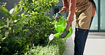 Watering, plants and hands with gloves, backyard and gardening for green development or sustainable. Outdoor, gardener and person with equipment for hydration, growth and liquid for leaves at house
