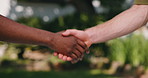 People, handshake and partnership with agreement for introduction or meeting in outdoor nature. Hello, b2b or shaking hands with greeting or welcome for success, confirmation or teamwork together