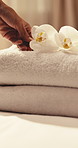 Hands, woman and towel at hotel with flower, guest arrival and welcome experience for hospitality. Person, cleaning and fresh linen at resort with plant, complimentary service and luxury housekeeping