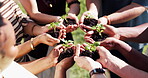 Sustainable, team or hands outdoor with plant, ethics or conservation in esg accountability. Collaboration, leaf or people with growth, environmental awareness or responsibility in green practice.