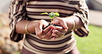 Sustainable, plant or hands outdoor with development, ethics or conservation in esg accountability. Cultivation, leaf or woman with growth, environmental awareness or responsibility in green practice