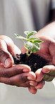 Man, hands and plant with soil for growth, water drops and conservation for sustainability project. Person, leaves and hydration with responsibility for environmental protection, nature or gardening.