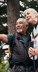 Senior, hiking and happy couple in forest for sightseeing, outdoor adventure or journey together. Active, elderly man and woman with smile or walking stick for trekking, fitness or travel in forest