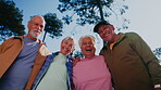 Fitness, face and old people at park, laughing and hug together after physical activity or exercise. Low angle, portrait and senior friends on break, happy and rest post workout and embrace in nature