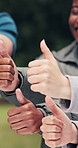 Motivation, friends and hands in park with thumbs up, good job and thank you in okay hand gesture. Yes, happy and people in nature with positive emoji, agreement and appreciation in group feedback.